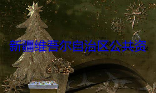建强接受审查调查新疆维吾尔心副主任薛自治区公共资源交易中